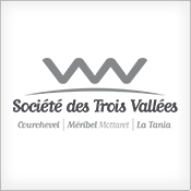 Logo_s3v.jpg